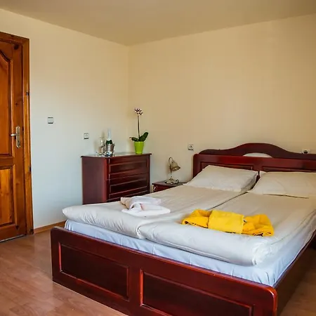 Pensiune Pri Ani 3*